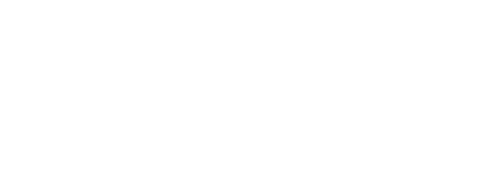 PflegeEngel